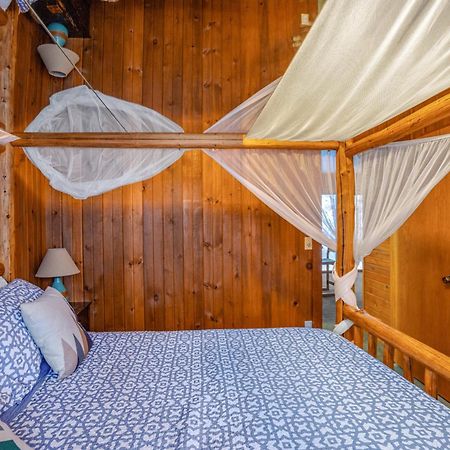 Darwin'S Apartment Girdwood Ngoại thất bức ảnh