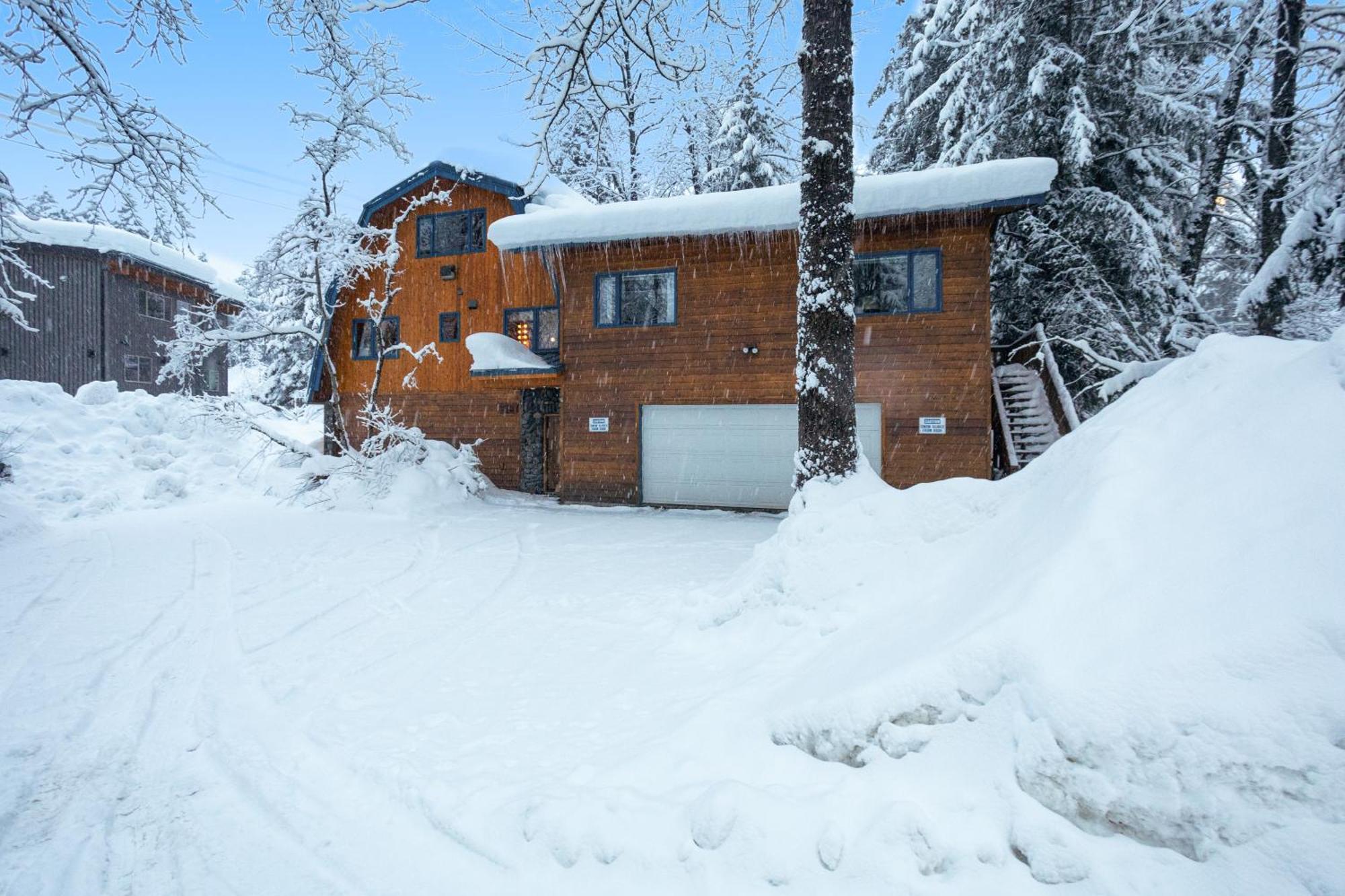 Darwin'S Apartment Girdwood Ngoại thất bức ảnh